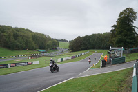 Middle Group Black Bikes